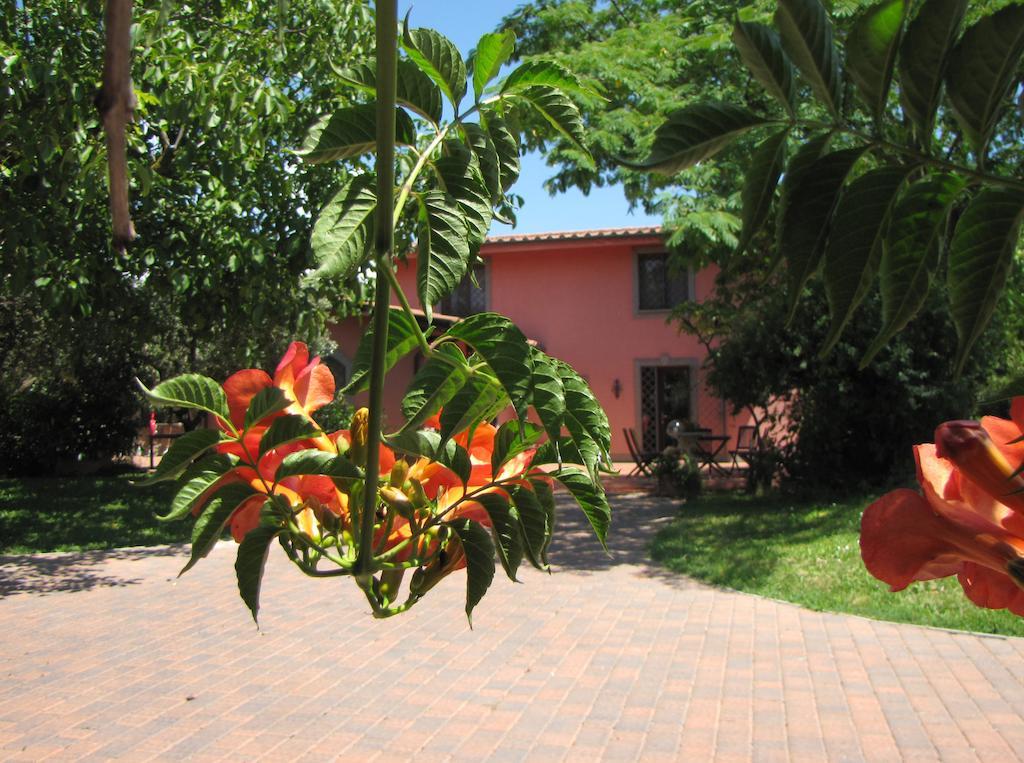 B&B Ai Glicini - Castelli Romani Marino Exterior foto